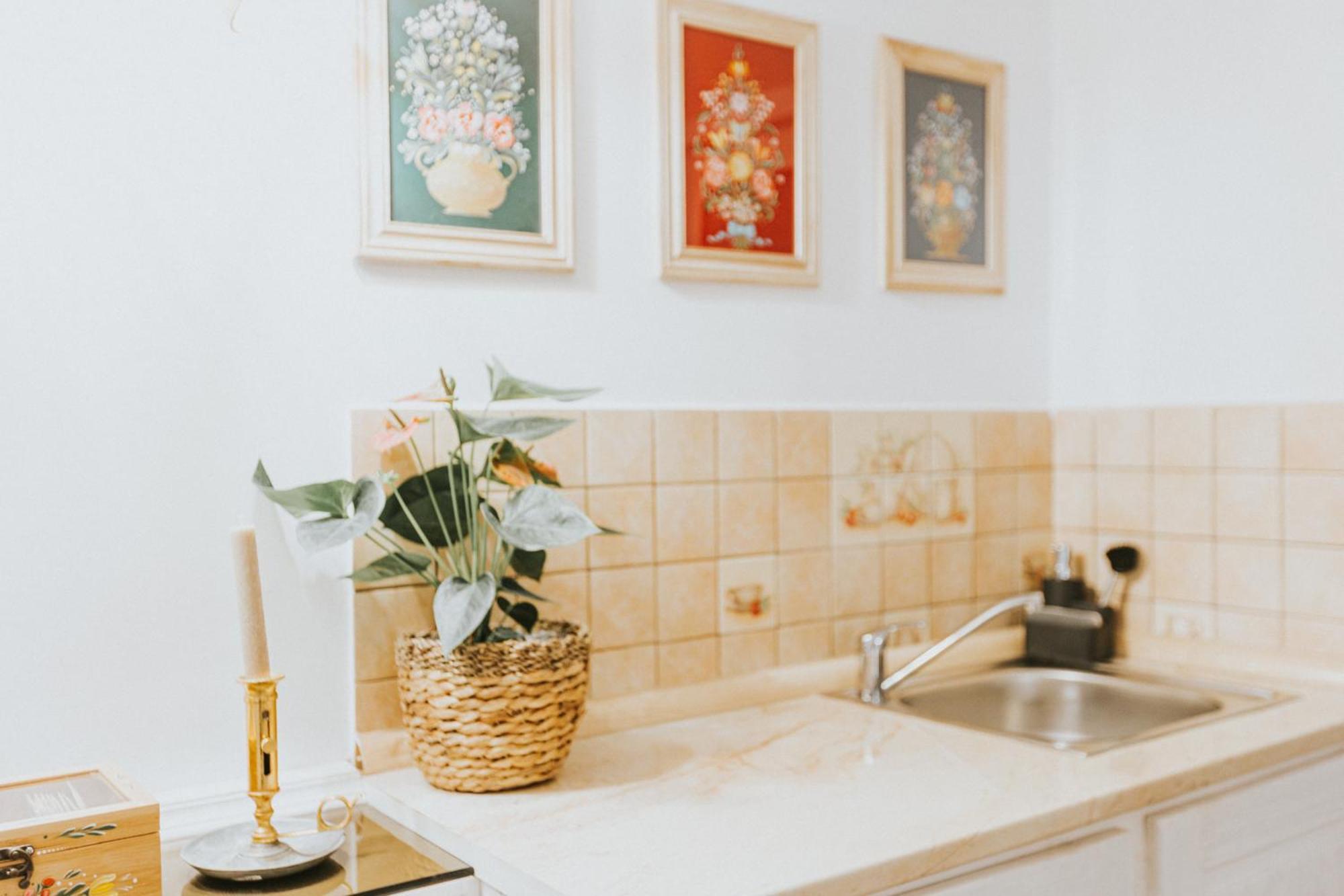 Republicii Rustic Apartament In Brasov City Center 외부 사진
